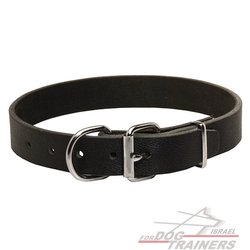 quality-leather-dog-collar_LRG -